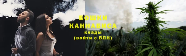 PSILOCYBIN Каменногорск