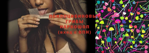молекула духа Каменск-Шахтинский
